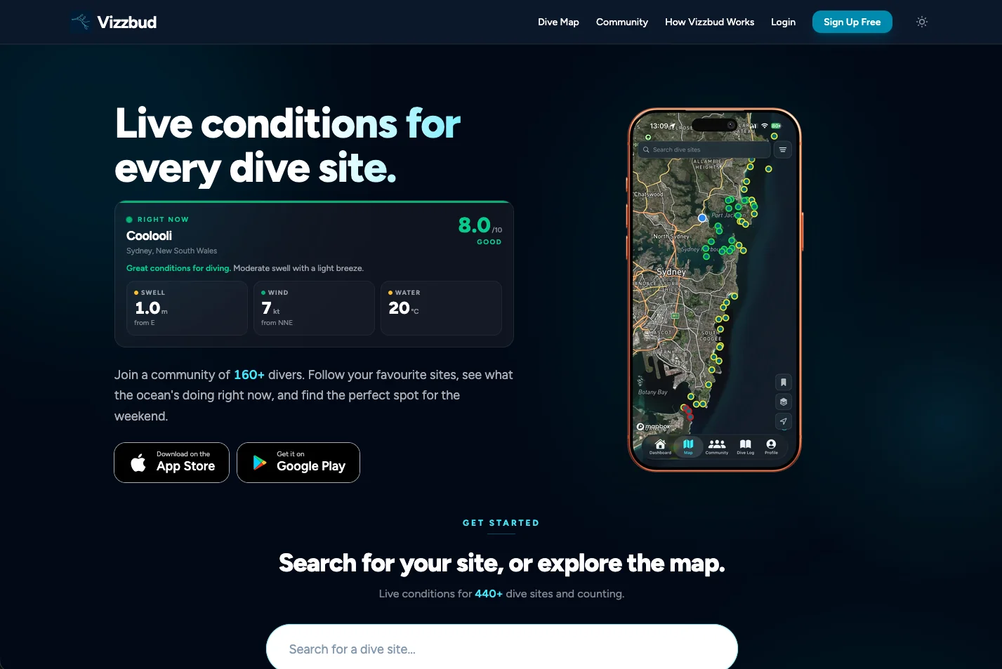 Home page for Vizzbud