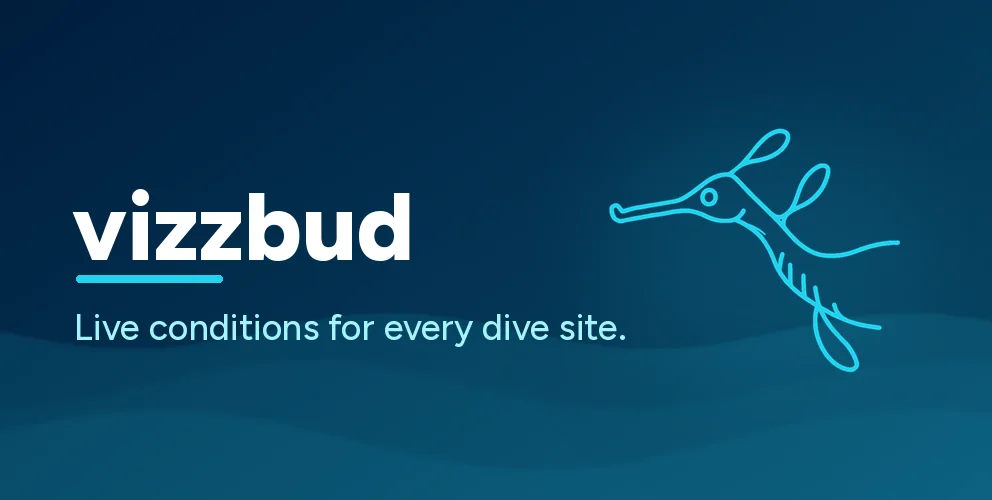 Vizzbud dive conditions platform